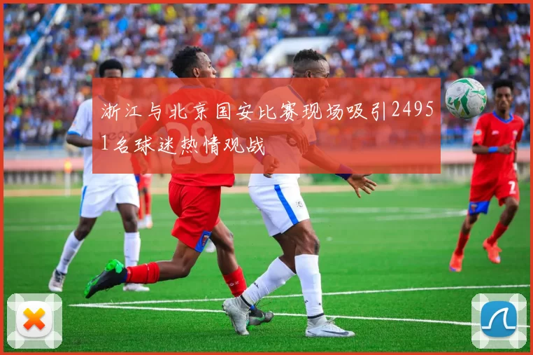 浙江与北京国安比赛现场吸引24951名球迷热情观战